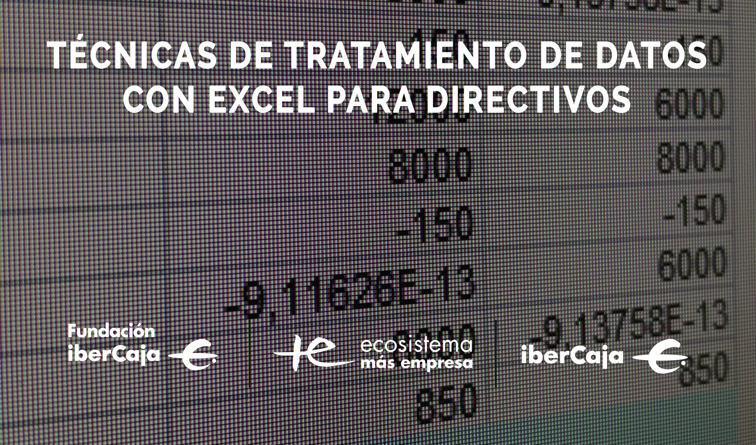 Técnicas de tratamiento de datos con Excel para Directivos