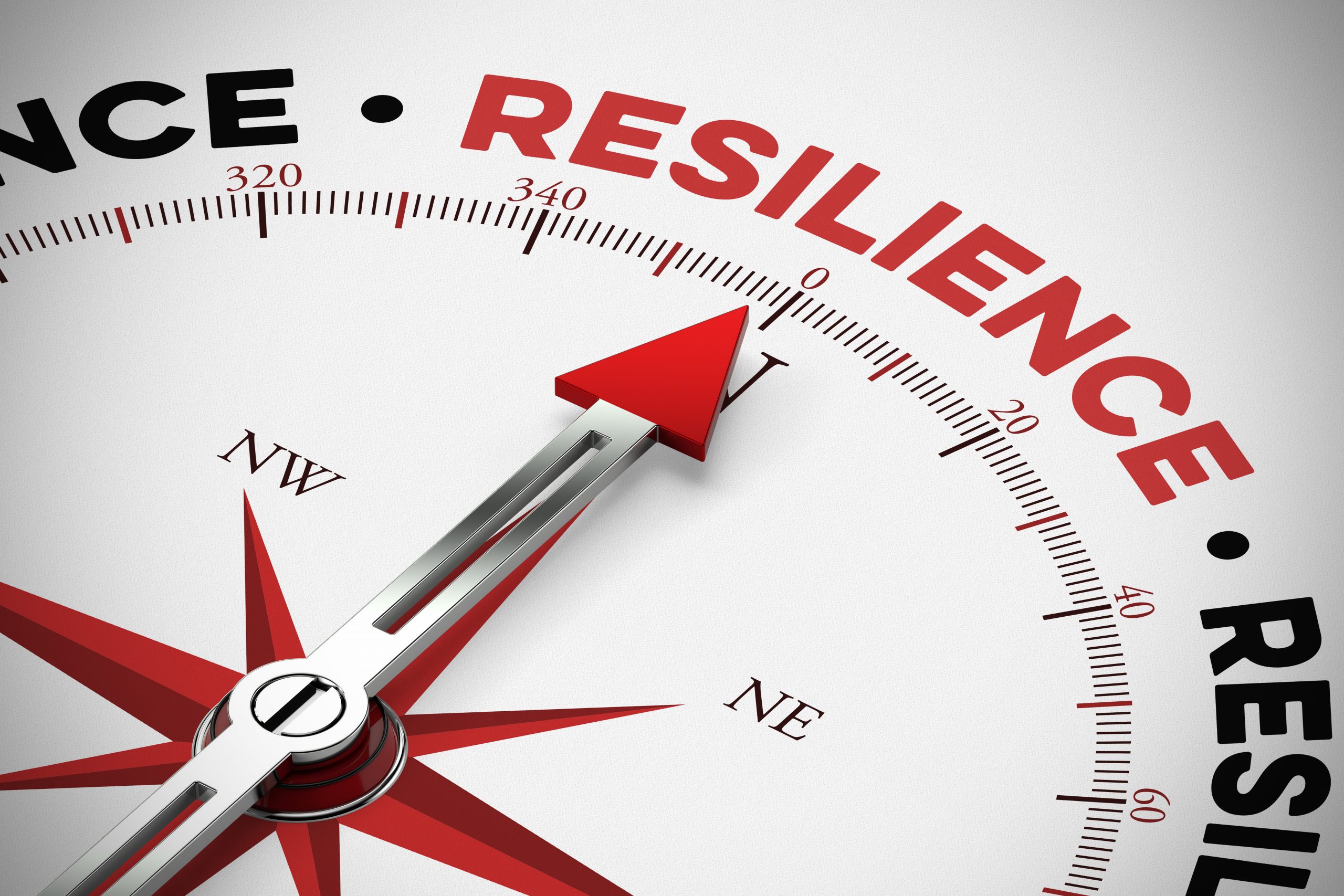 Ciberseguridad: Garantizando la resiliencia de la compañía y la reputación de tu marca